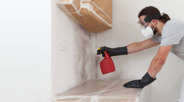 Professional Mold Testing technician working in Secaucus, NJ